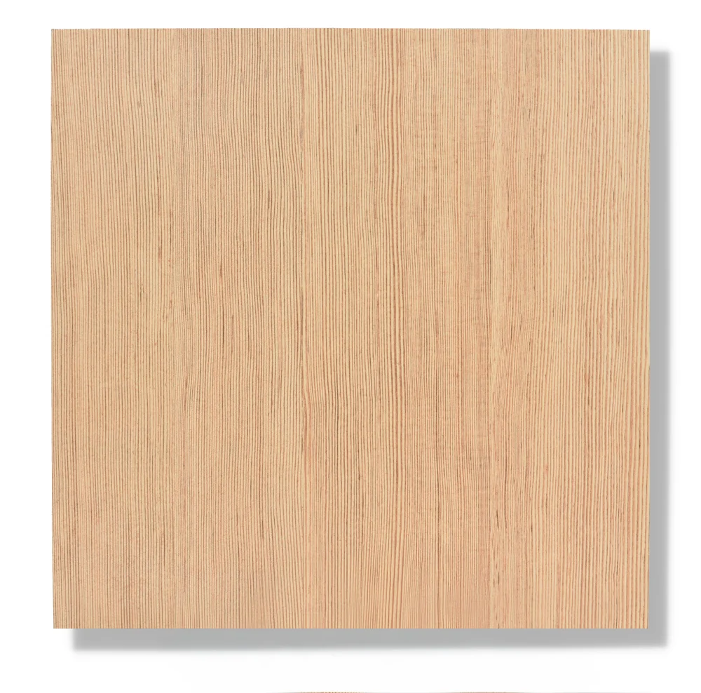 Douglas Fir 482