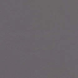 Aubergine