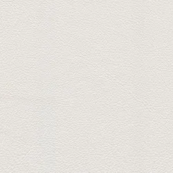 Classic White