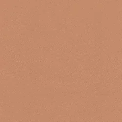 Dust Rose