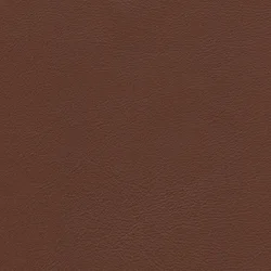 Iron