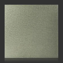 Stainless Non Directional Medium