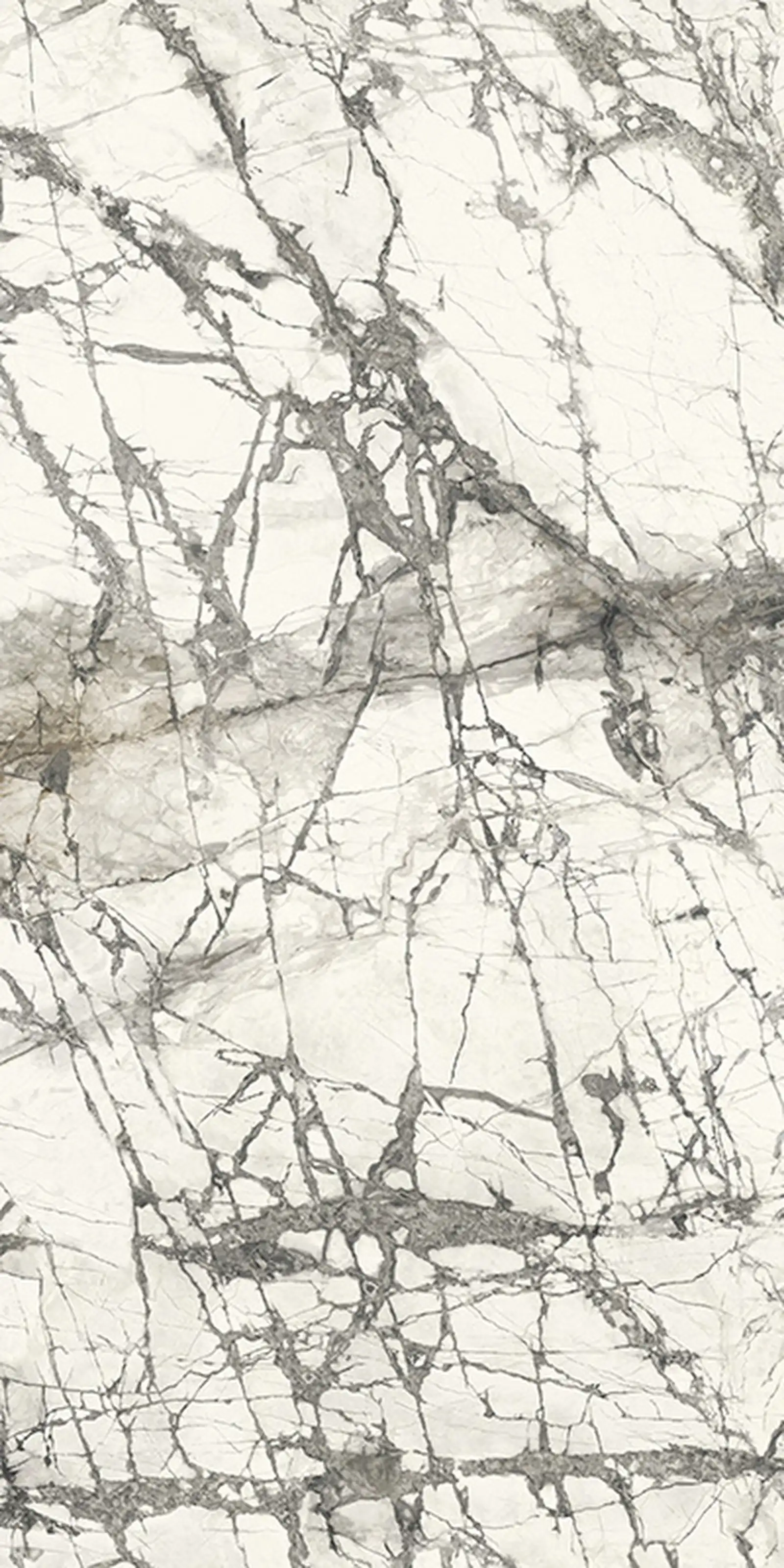 Cararra Fractured