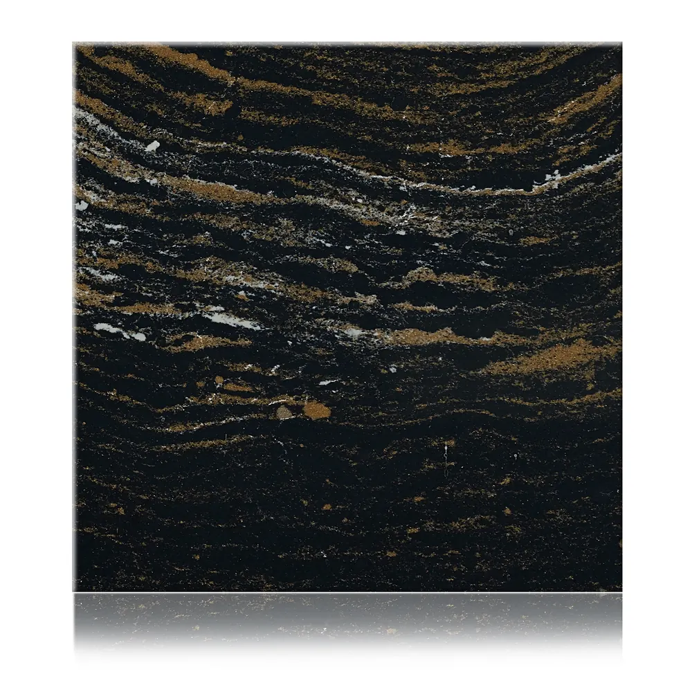 Magma Gold Noir