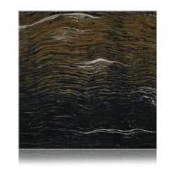 Magma Gold Noir