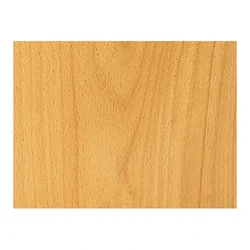 Beech