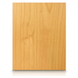 Beech