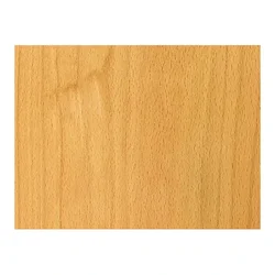 Beech