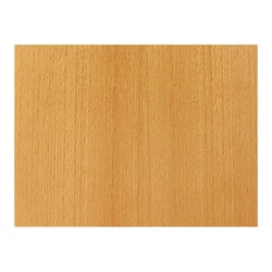 Beech