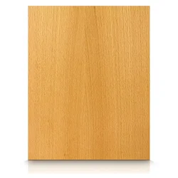 Beech