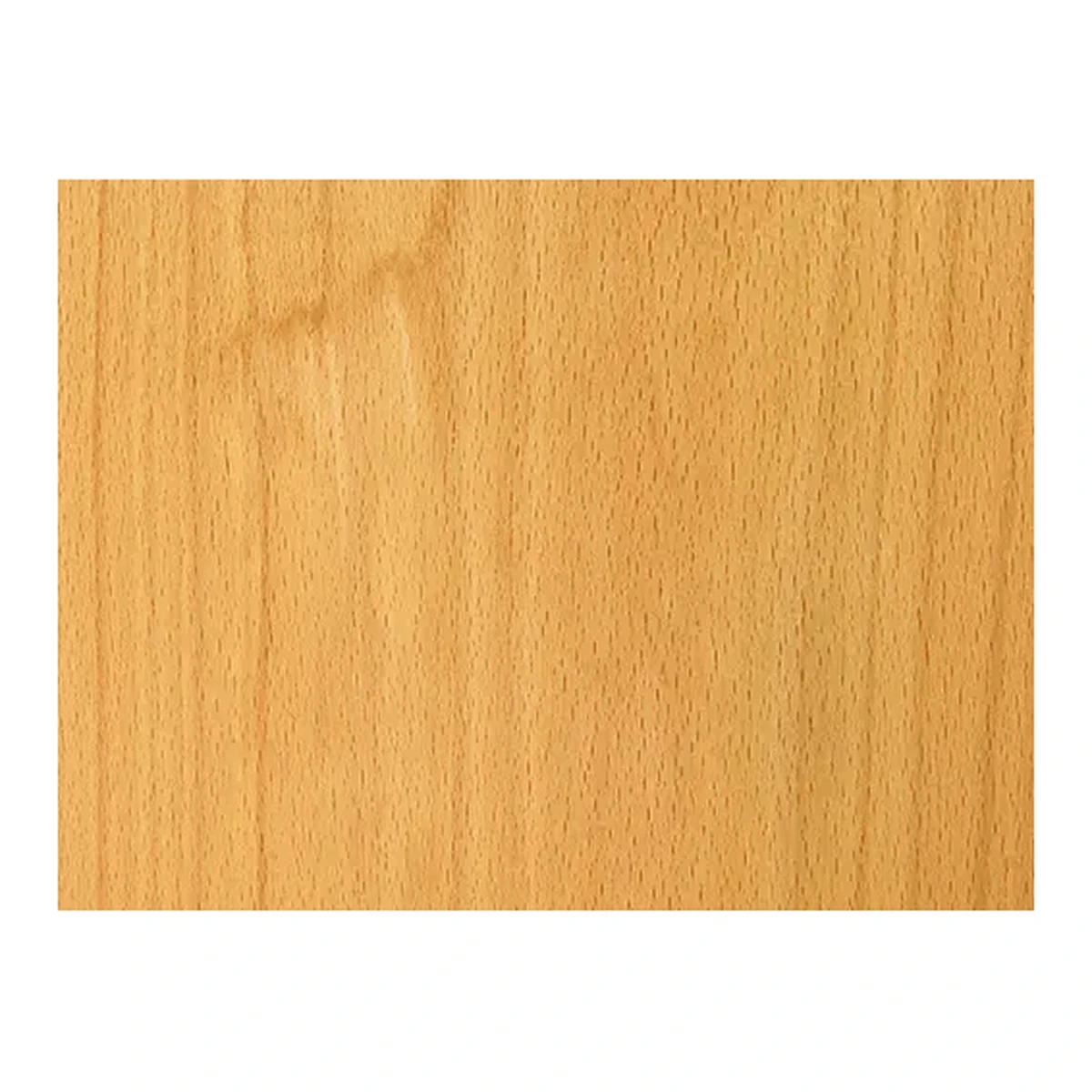Beech