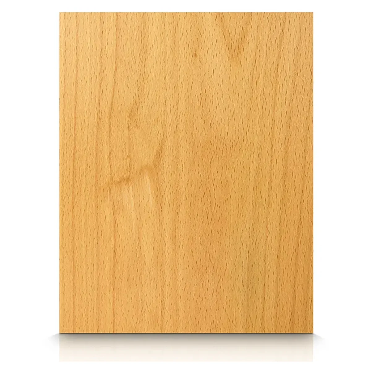 Beech
