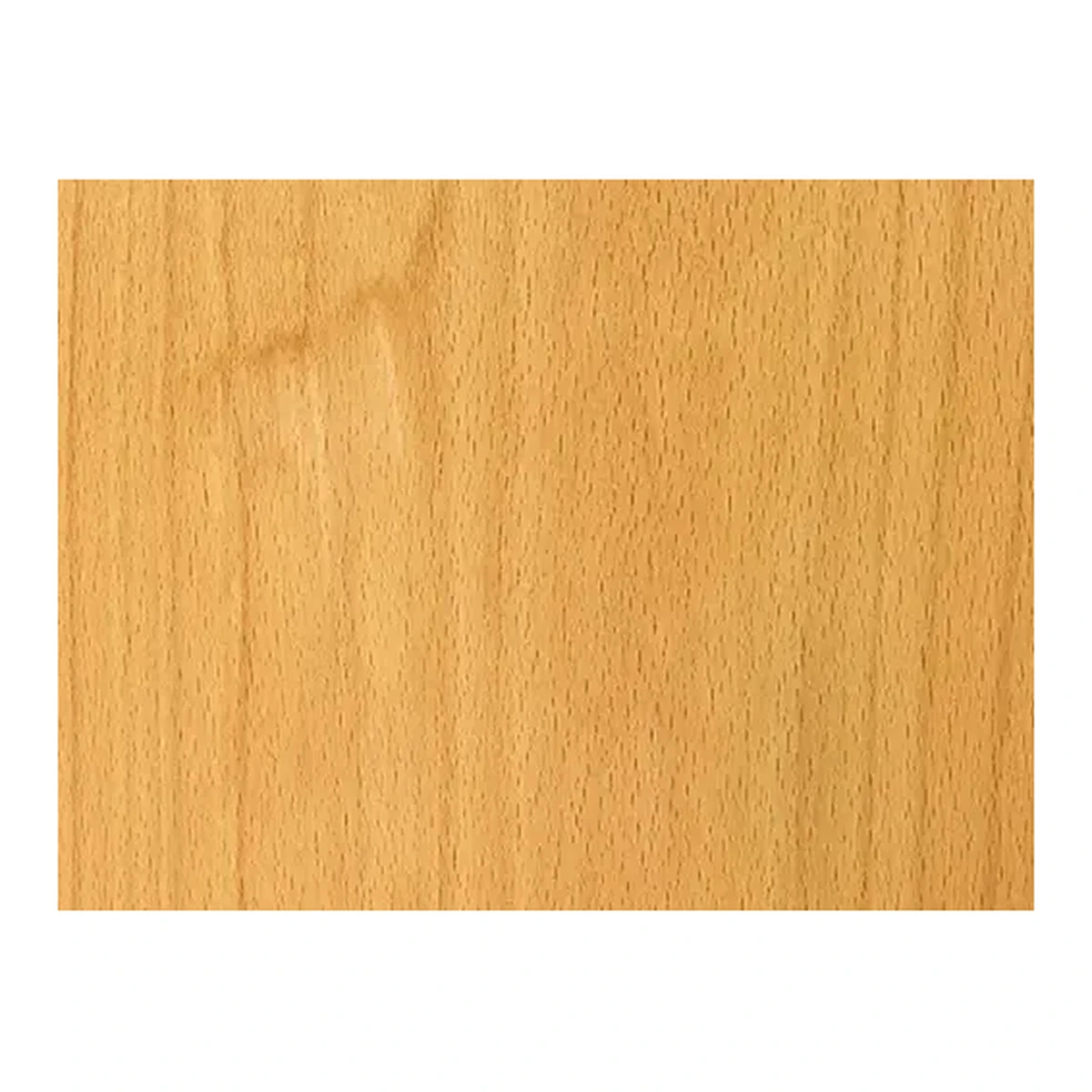 Beech