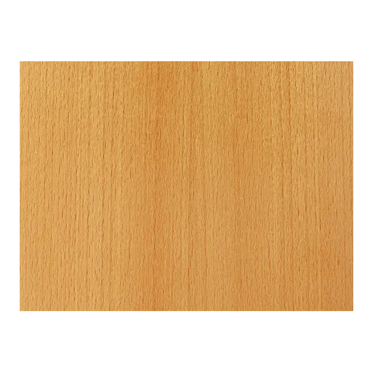 Beech