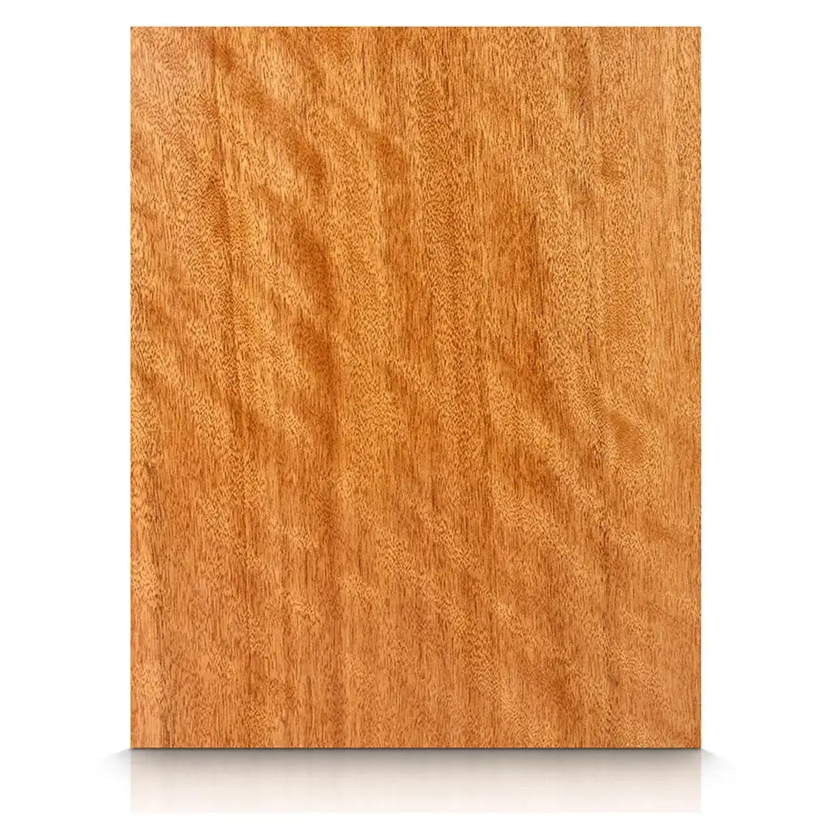 Cedar