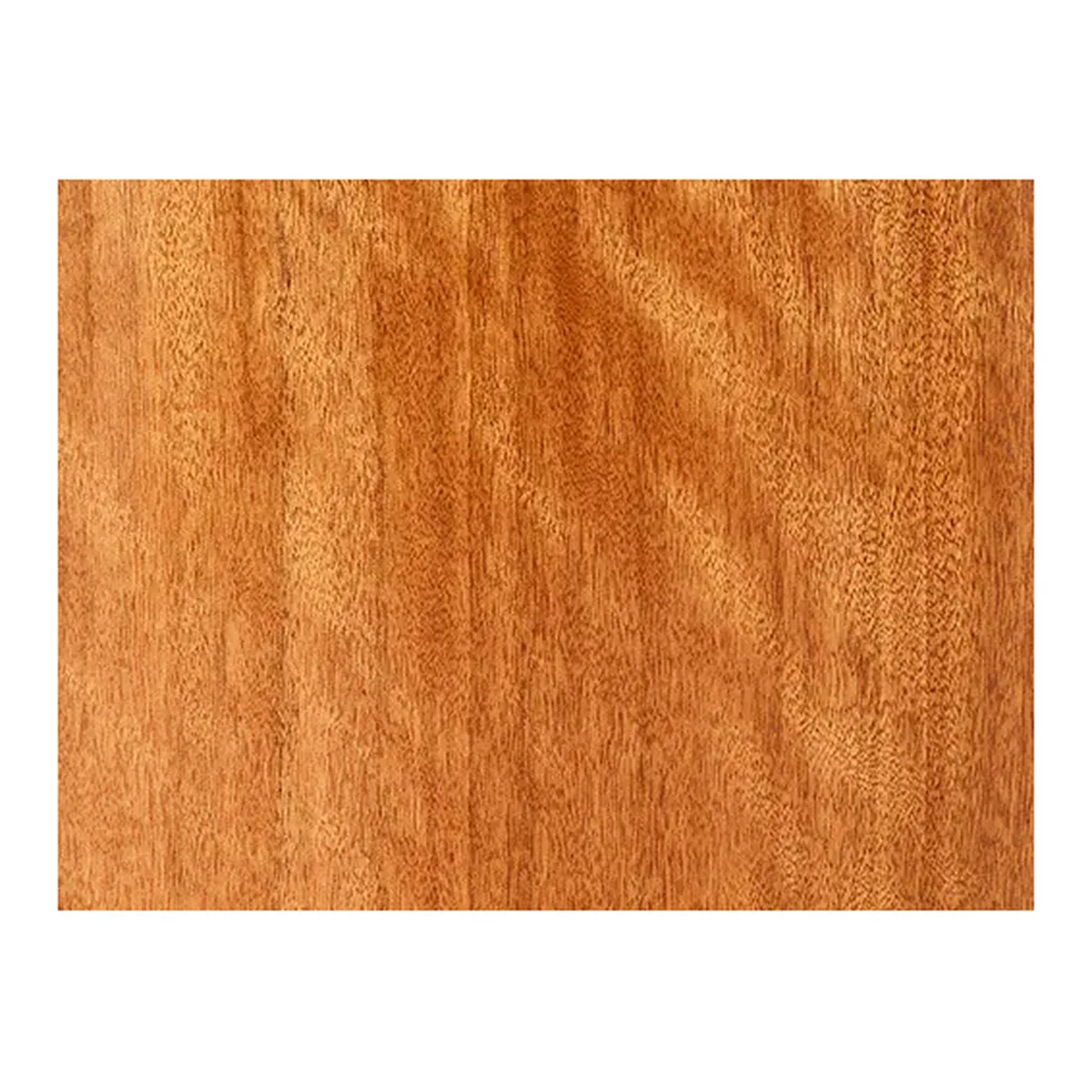 Cedar