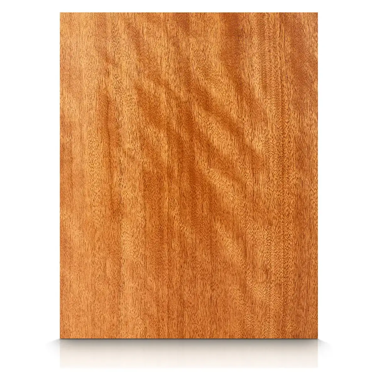 Cedar