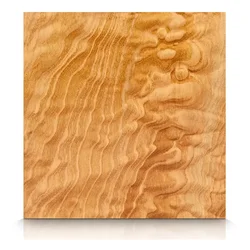 Maple