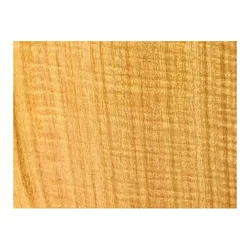 Eucalyptus