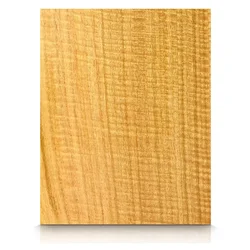 Eucalyptus