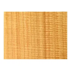 Eucalyptus