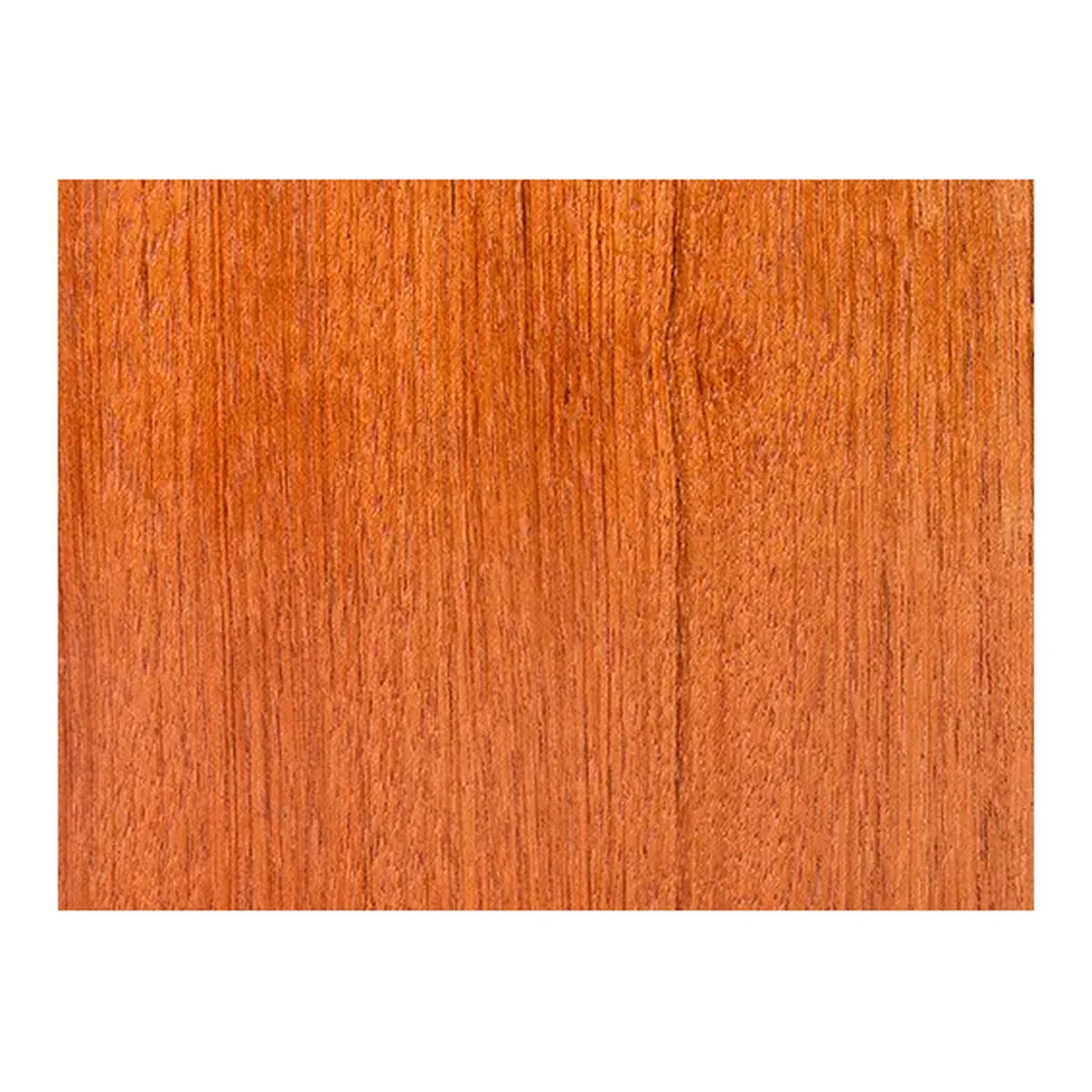 Jatoba
