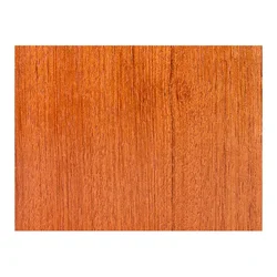 Jatoba