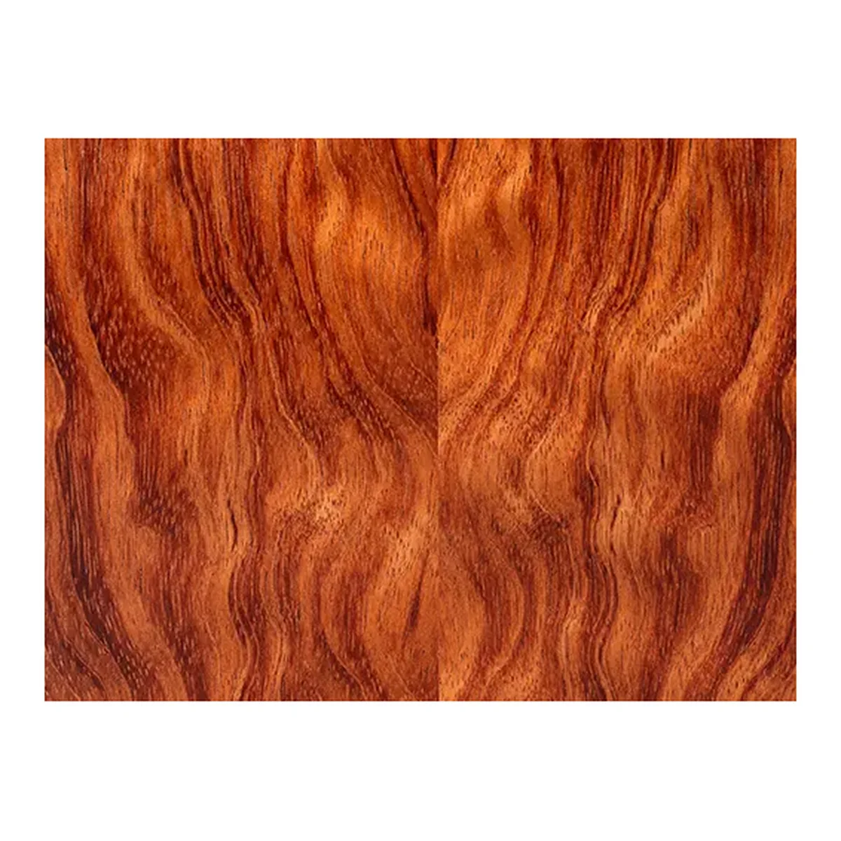 Kewazinga Bubinga