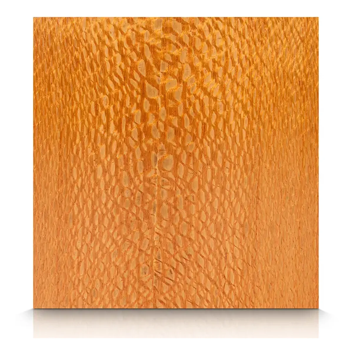 Lacewood