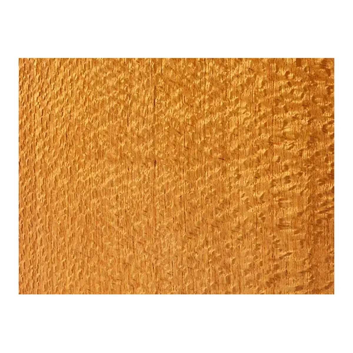 Lacewood