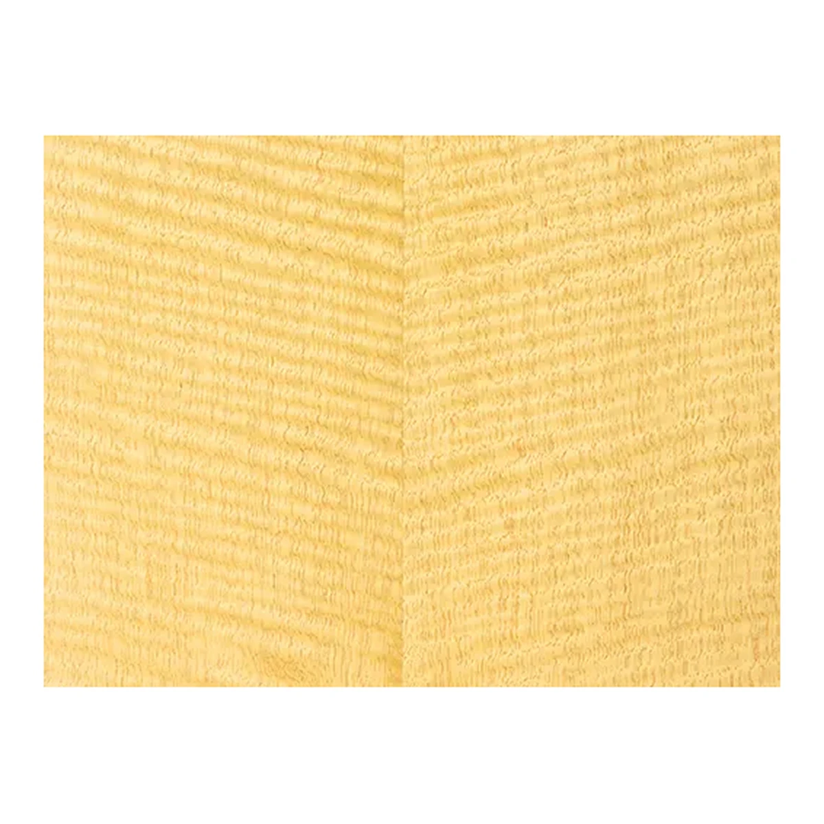 Limba