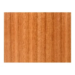 Lyptus