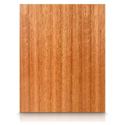 Lyptus