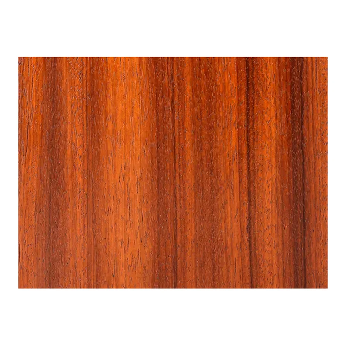 Padauk