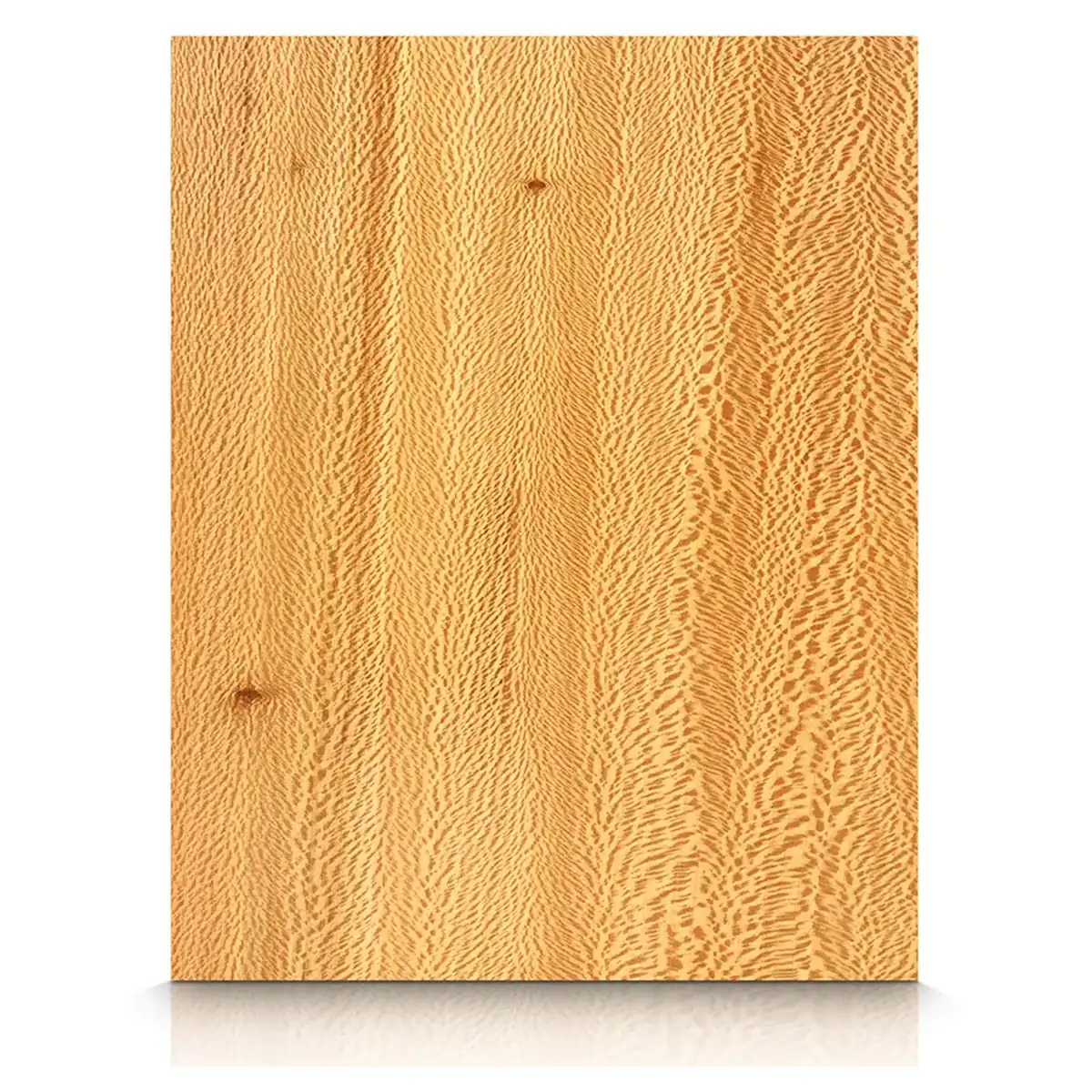 Sycamore