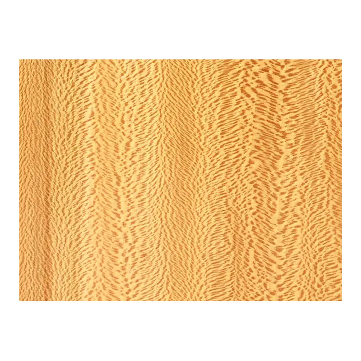 Sycamore