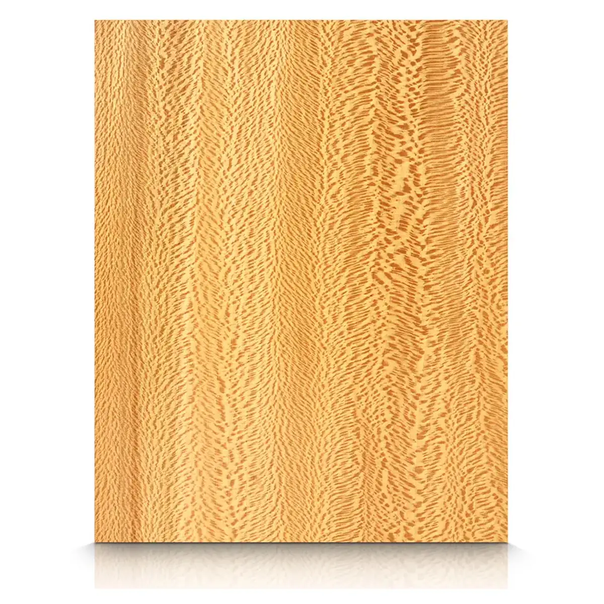 Sycamore