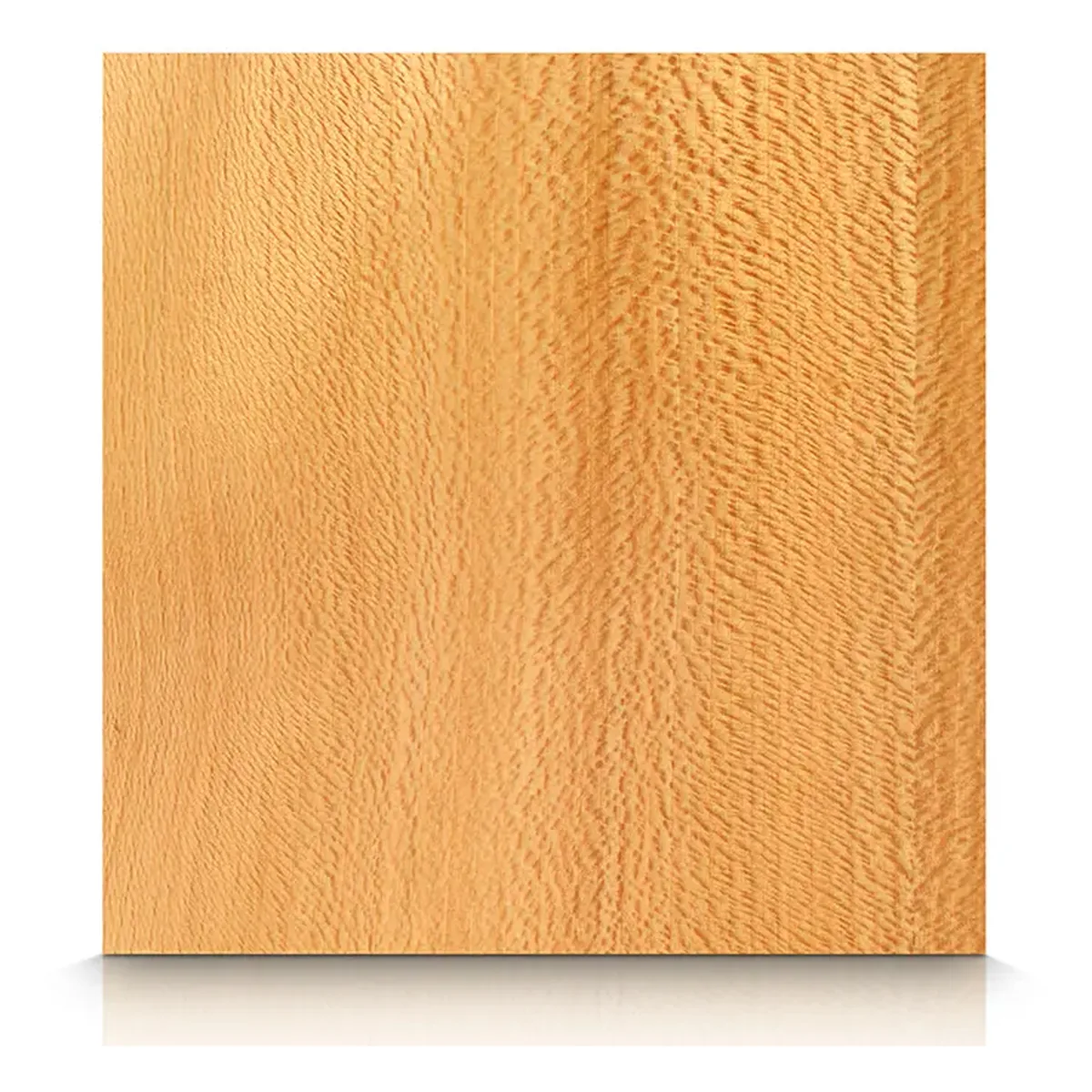Sycamore