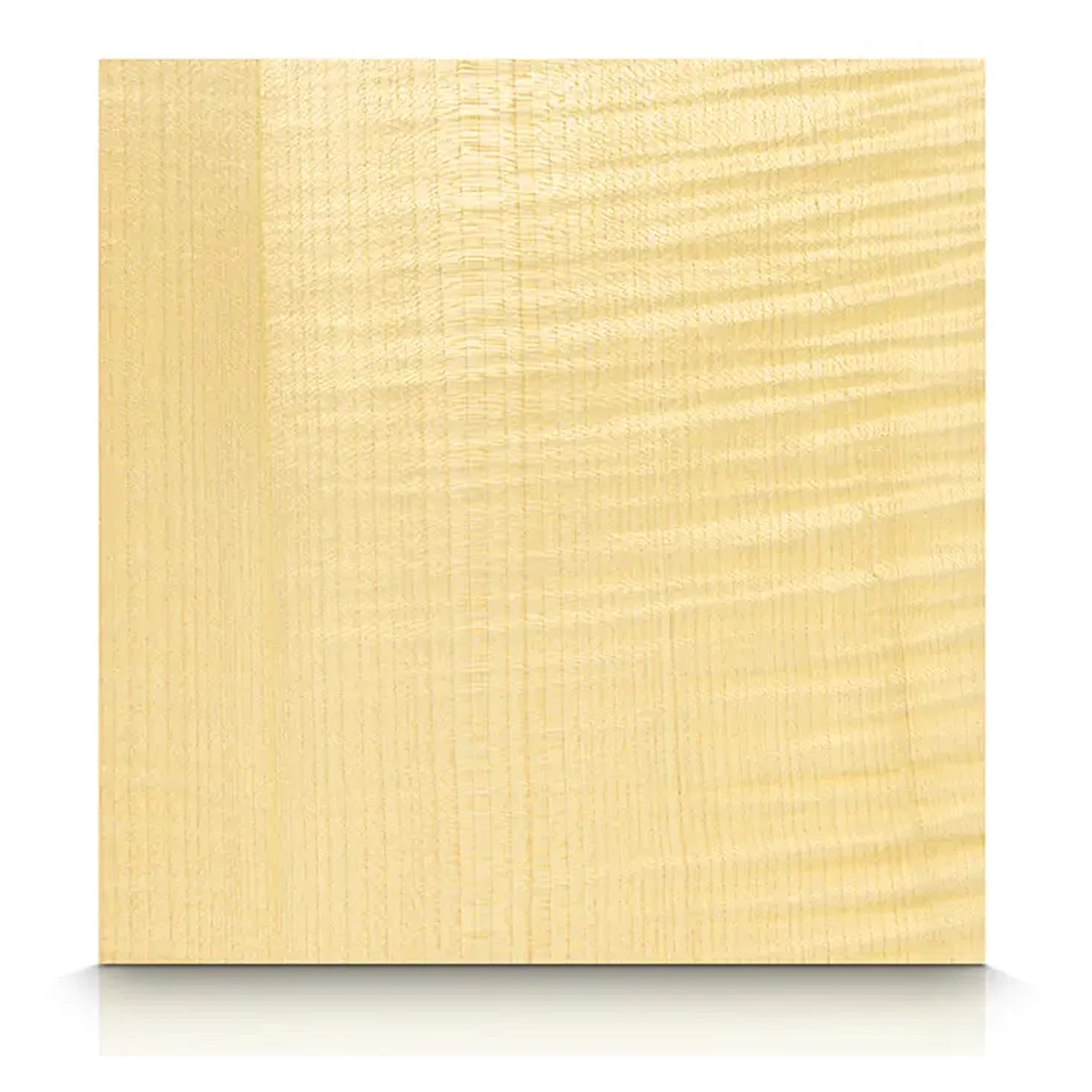 Sycamore