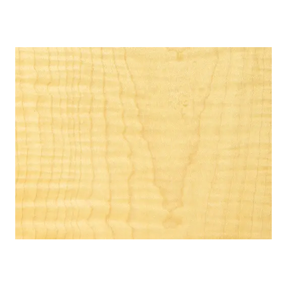 Sycamore