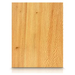 Sycamore