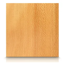 Sycamore