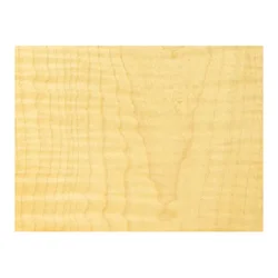 Sycamore