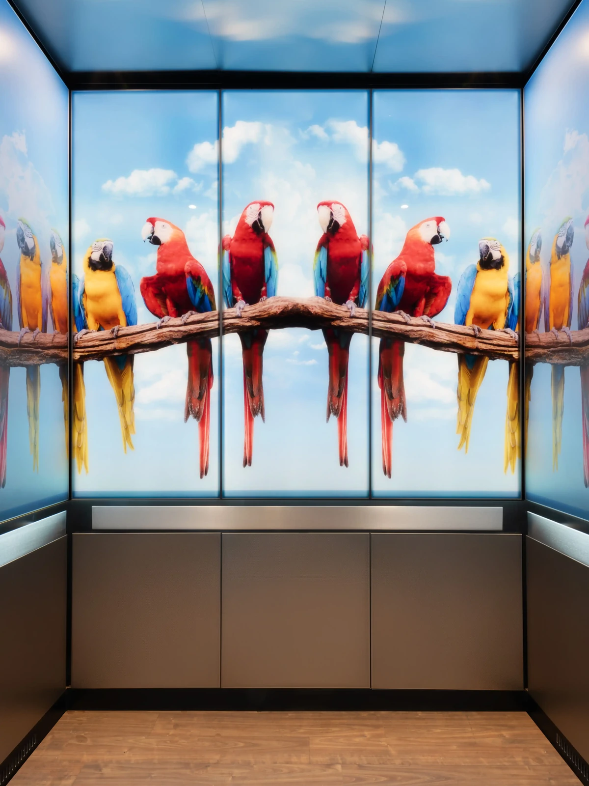 truelight-brand-backlit-macaws-image-elevator-interior-1