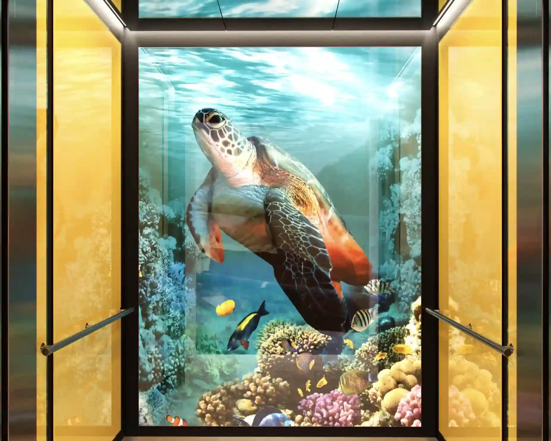 soho-series-elevator-interior-backlit-glass-sea-turtle-image-d-m