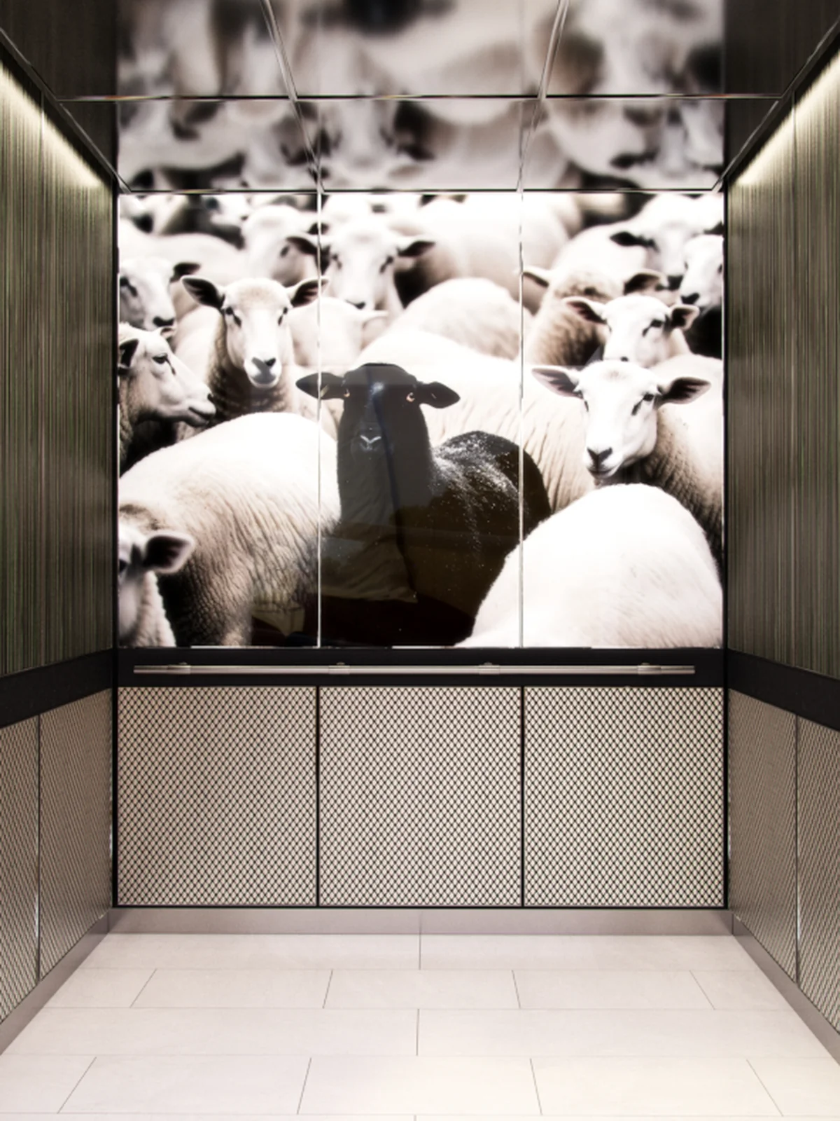 berlin-series-luxury-elevator-interior-backlit-glass-black-sheep-image-1