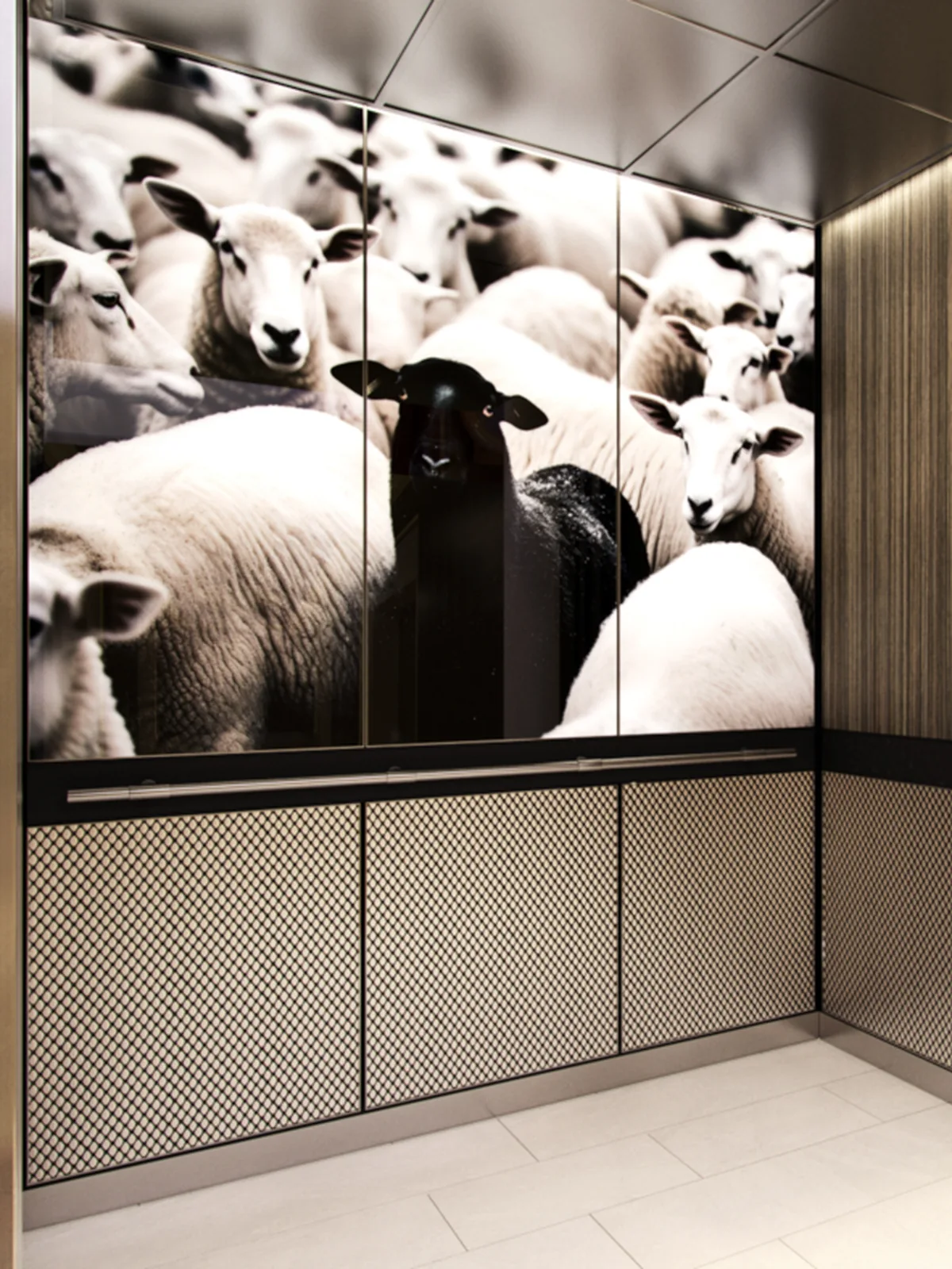 berlin-series-luxury-elevator-interior-backlit-glass-black-sheep-image-3