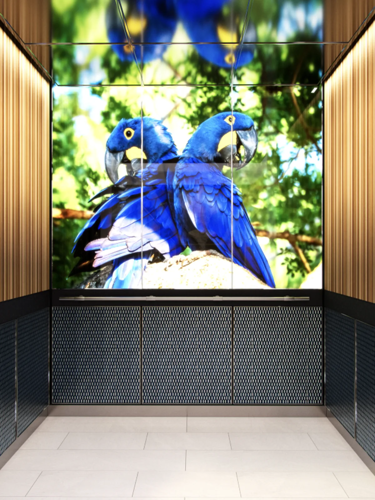 berlin-series-luxury-elevator-interior-backlit-glass-blue-birds-image-1