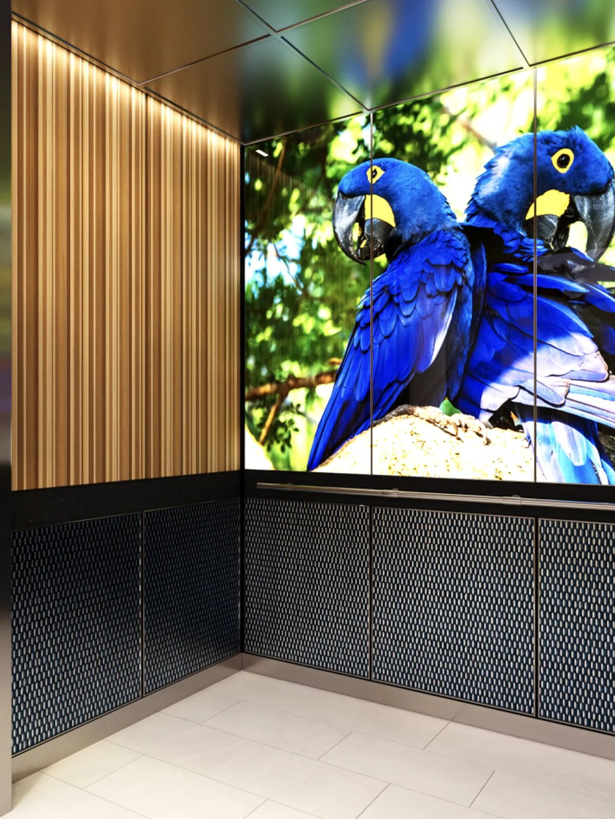 berlin-series-luxury-elevator-interior-backlit-glass-blue-birds-image-2