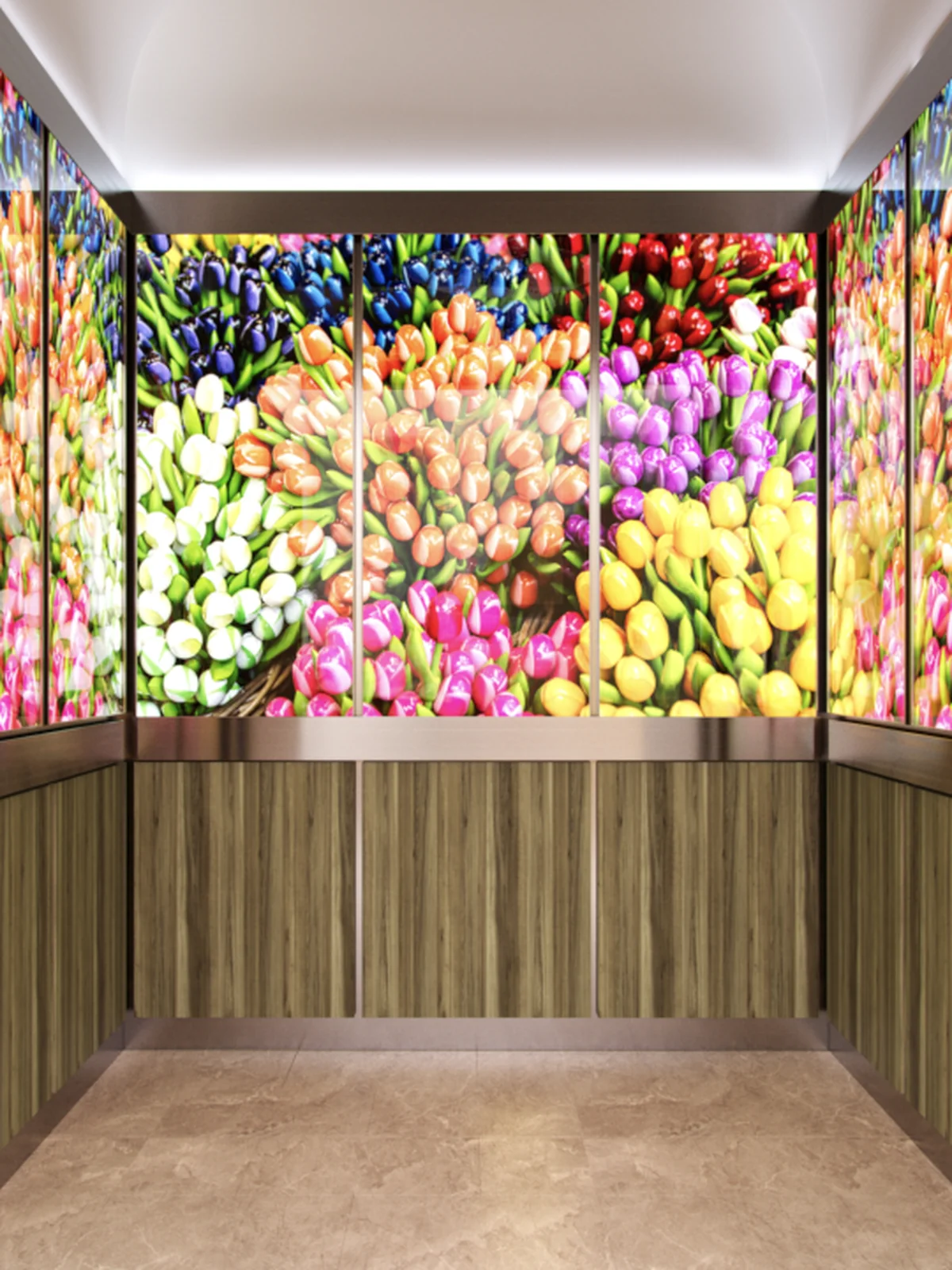 berlin-series-luxury-elevator-interior-tulips-image-backlit-glass-1